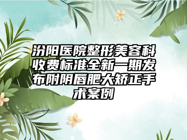 汾阳医院整形美容科收费标准全新一期发布附阴唇肥大矫正手术案例