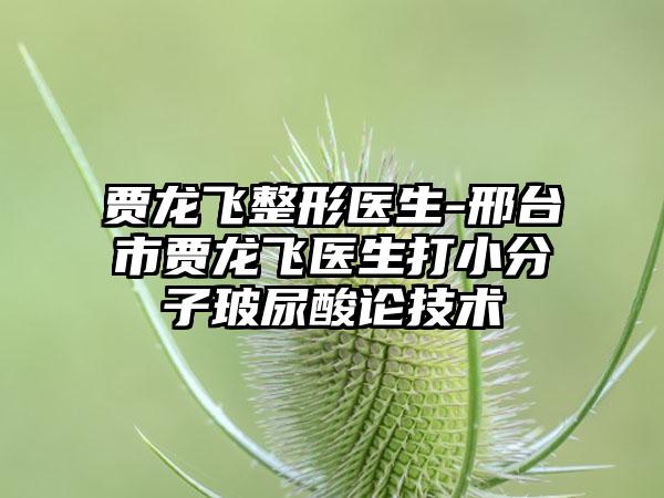 贾龙飞整形医生-邢台市贾龙飞医生打小分子玻尿酸论技术