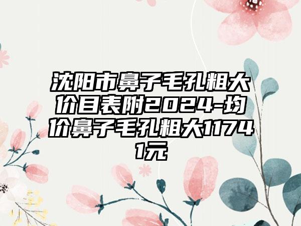 沈阳市鼻子毛孔粗大价目表附2024-均价鼻子毛孔粗大11741元