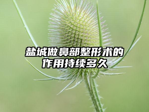 盐城做鼻部整形术的作用持续多久