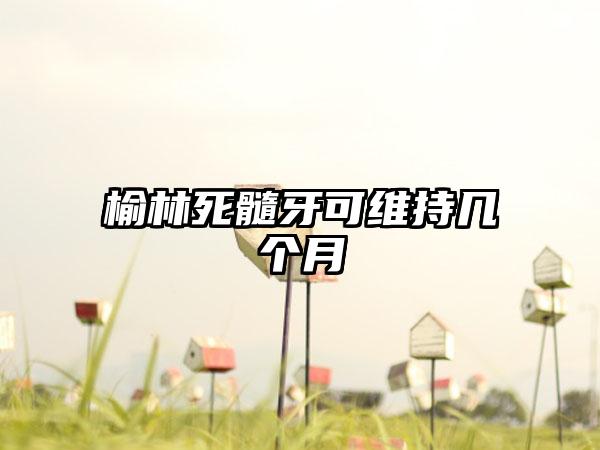 榆林死髓牙可维持几个月