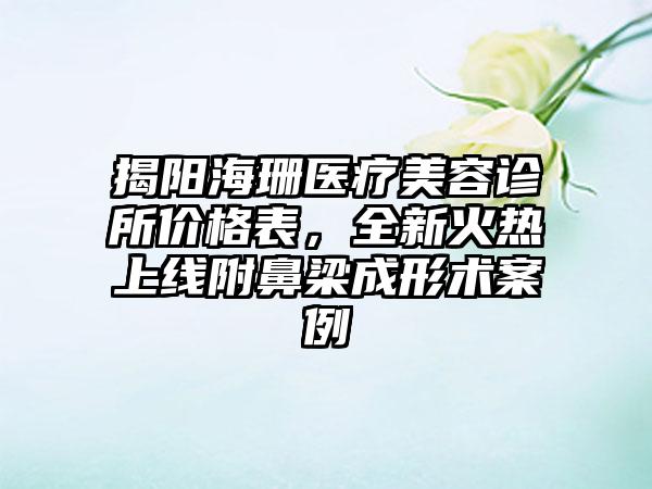 揭阳海珊医疗美容诊所价格表，全新火热上线附鼻梁成形术案例