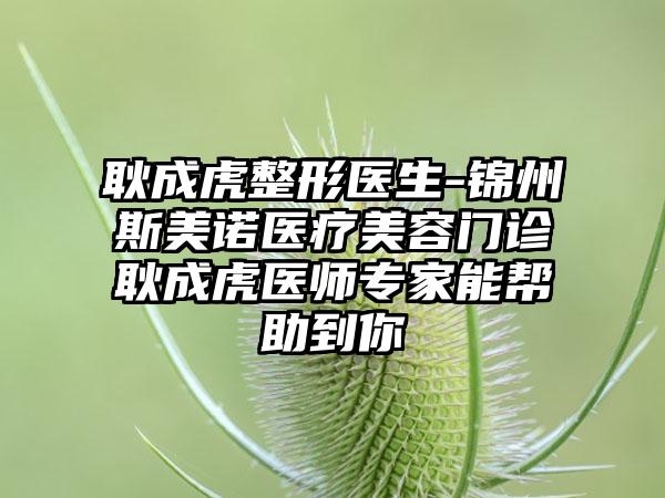 耿成虎整形医生-锦州斯美诺医疗美容门诊耿成虎医师专家能帮助到你