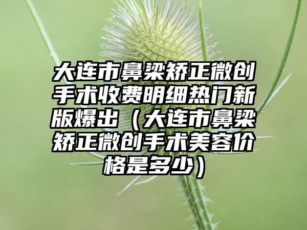 大连市鼻梁矫正微创手术收费明细热门新版爆出（大连市鼻梁矫正微创手术美容价格是多少）