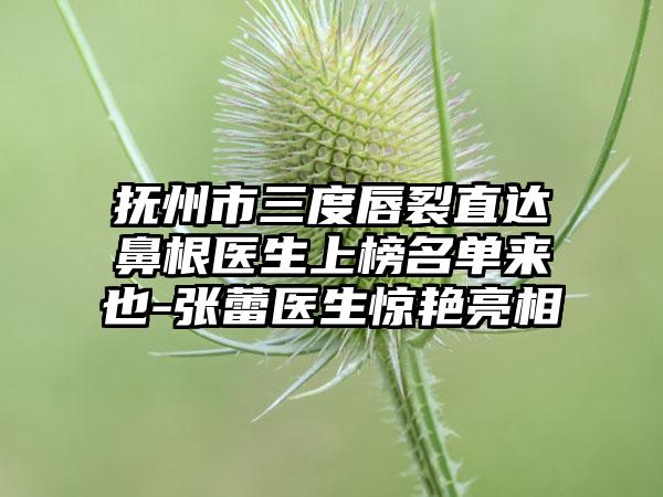 抚州市三度唇裂直达鼻根医生上榜名单来也-张蕾医生惊艳亮相