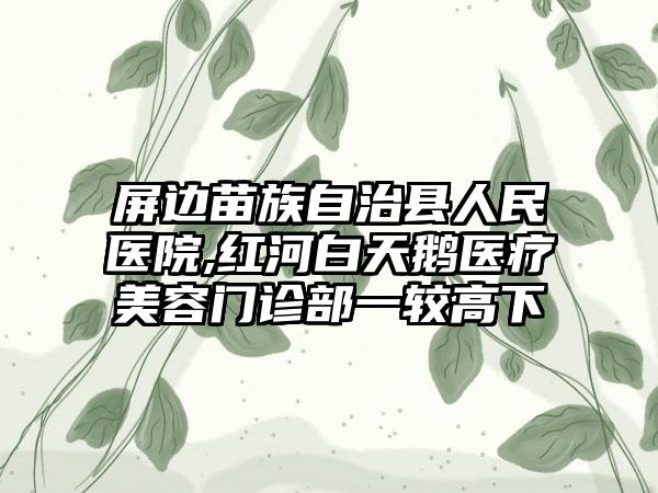 屏边苗族自治县人民医院,红河白天鹅医疗美容门诊部一较高下