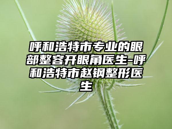 呼和浩特市专业的眼部整容开眼角医生-呼和浩特市赵钢整形医生