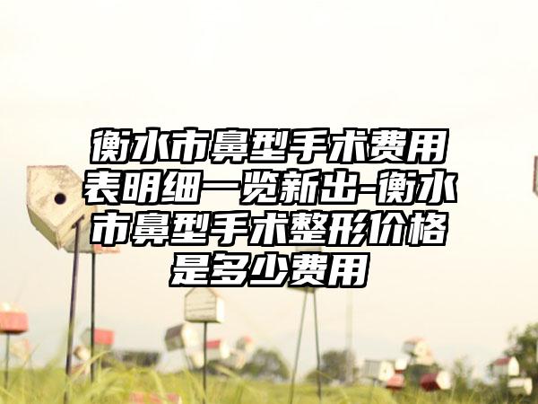 衡水市鼻型手术费用表明细一览新出-衡水市鼻型手术整形价格是多少费用