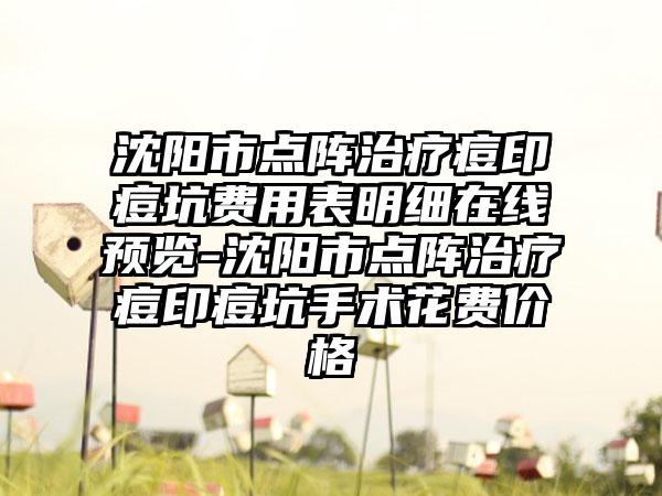 沈阳市点阵治疗痘印痘坑费用表明细在线预览-沈阳市点阵治疗痘印痘坑手术花费价格