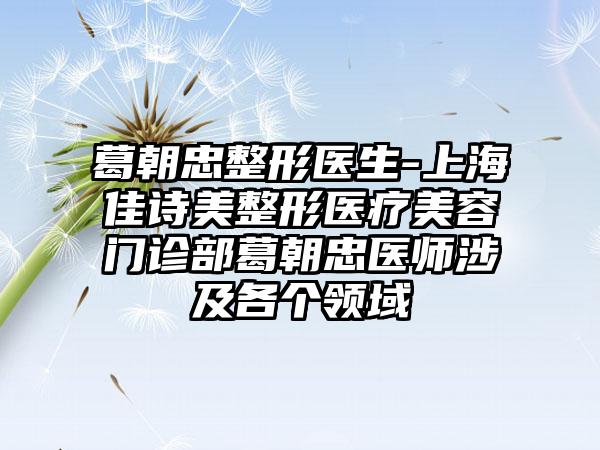 葛朝忠整形医生-上海佳诗美整形医疗美容门诊部葛朝忠医师涉及各个领域