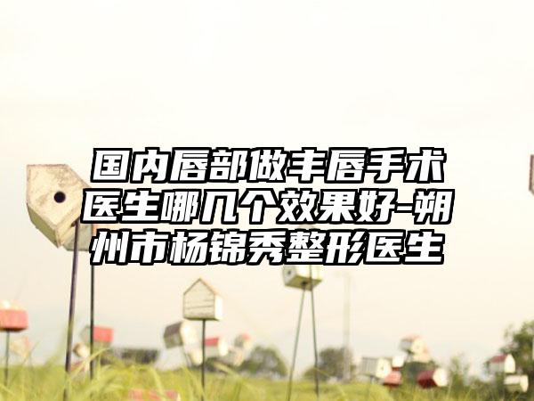 国内唇部做丰唇手术医生哪几个效果好-朔州市杨锦秀整形医生