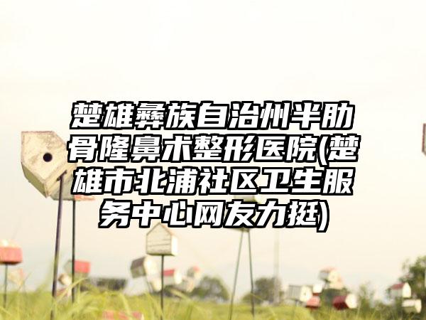 楚雄彝族自治州半肋骨隆鼻术整形医院(楚雄市北浦社区卫生服务中心网友力挺)