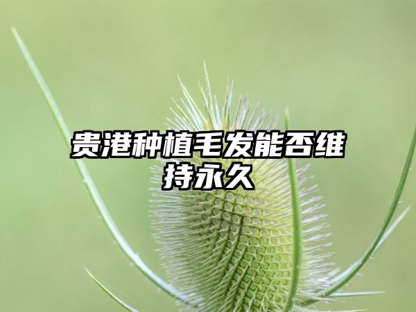 贵港种植毛发能否维持永久