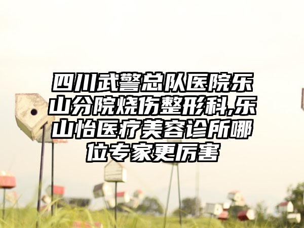 四川武警总队医院乐山分院烧伤整形科,乐山怡医疗美容诊所哪位专家更厉害