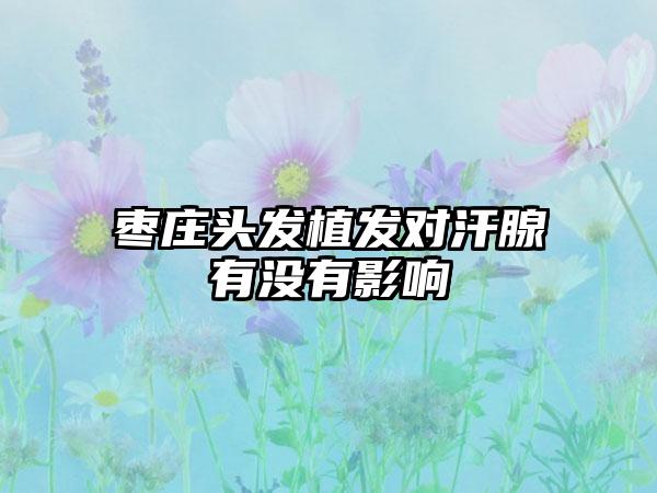 枣庄头发植发对汗腺有没有影响