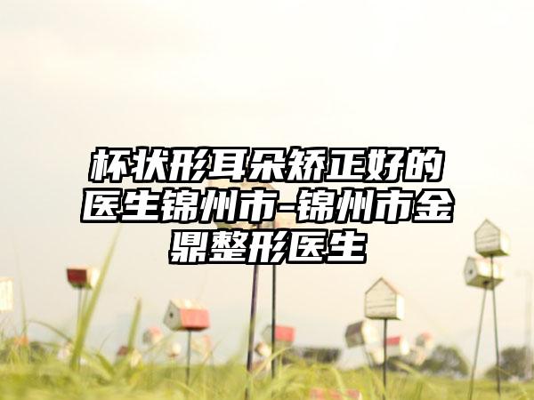 杯状形耳朵矫正好的医生锦州市-锦州市金鼎整形医生