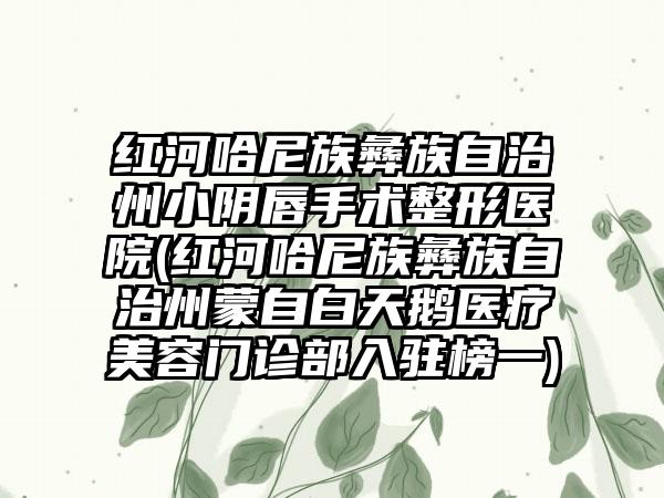 红河哈尼族彝族自治州小阴唇手术整形医院(红河哈尼族彝族自治州蒙自白天鹅医疗美容门诊部入驻榜一)