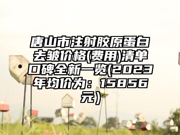 唐山市注射胶原蛋白去皱价格(费用)清单口碑全新一览(2023年均价为：15856元）