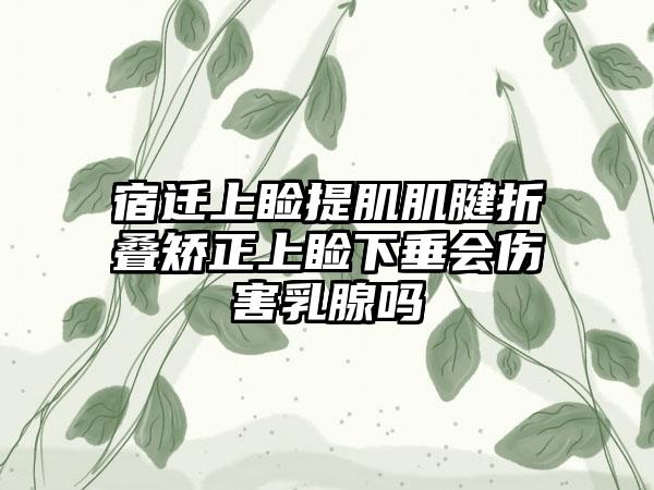 宿迁上睑提肌肌腱折叠矫正上睑下垂会伤害乳腺吗