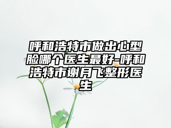 呼和浩特市做出心型脸哪个医生最好-呼和浩特市谢月飞整形医生