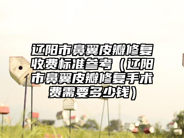 辽阳市鼻翼皮瓣修复收费标准参考（辽阳市鼻翼皮瓣修复手术费需要多少钱）