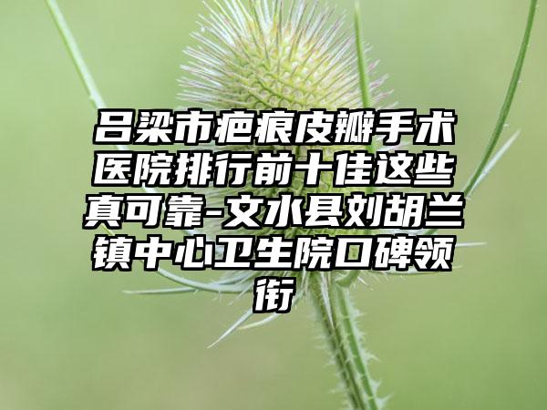 吕梁市疤痕皮瓣手术医院排行前十佳这些真可靠-文水县刘胡兰镇中心卫生院口碑领衔