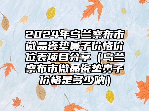 2024年乌兰察布市微晶瓷垫鼻子价格价位表项目分享（乌兰察布市微晶瓷垫鼻子价格是多少呐）