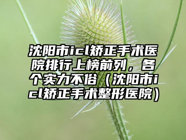 沈阳市icl矫正手术医院排行上榜前列，各个实力不俗（沈阳市icl矫正手术整形医院）