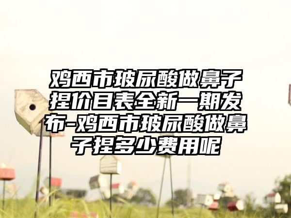 鸡西市玻尿酸做鼻子捏价目表全新一期发布-鸡西市玻尿酸做鼻子捏多少费用呢