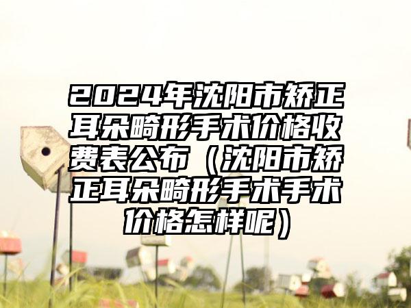 2024年沈阳市矫正耳朵畸形手术价格收费表公布（沈阳市矫正耳朵畸形手术手术价格怎样呢）