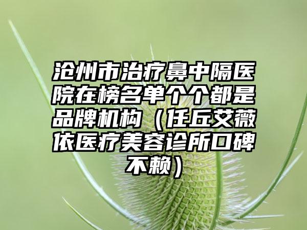 沧州市治疗鼻中隔医院在榜名单个个都是品牌机构（任丘艾薇依医疗美容诊所口碑不赖）