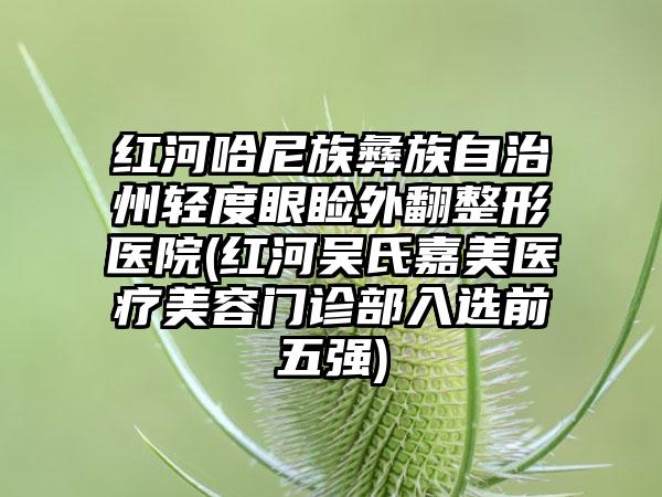 红河哈尼族彝族自治州轻度眼睑外翻整形医院(红河吴氏嘉美医疗美容门诊部入选前五强)