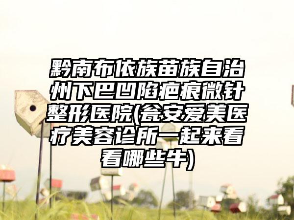 黔南布依族苗族自治州下巴凹陷疤痕微针整形医院(瓮安爱美医疗美容诊所一起来看看哪些牛)