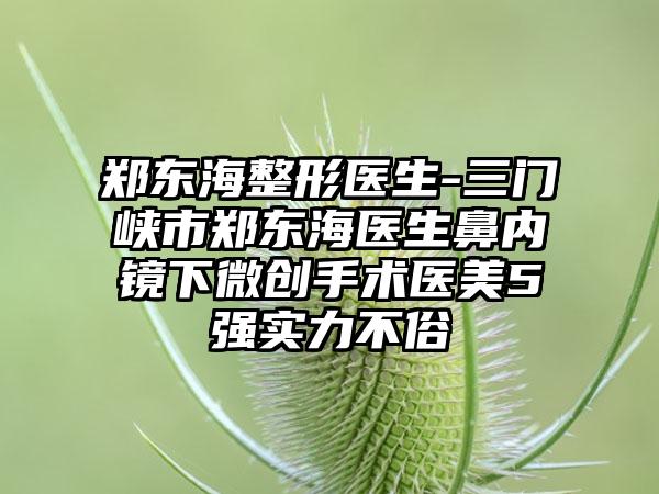 郑东海整形医生-三门峡市郑东海医生鼻内镜下微创手术医美5强实力不俗