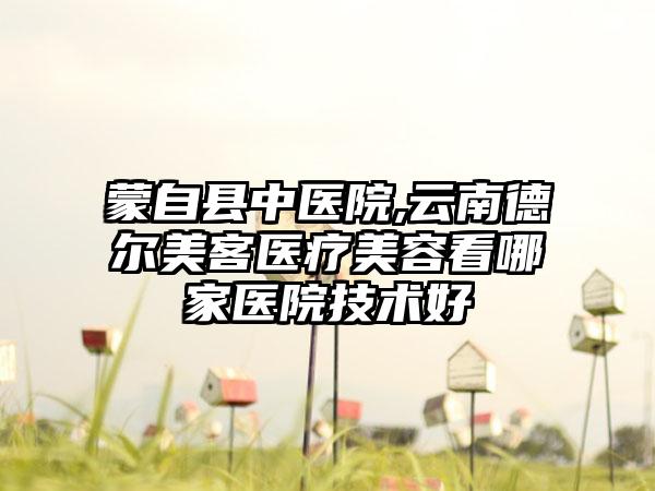 蒙自县中医院,云南德尔美客医疗美容看哪家医院技术好