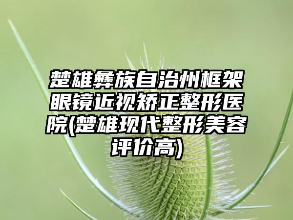 楚雄彝族自治州框架眼镜近视矫正整形医院(楚雄现代整形美容评价高)