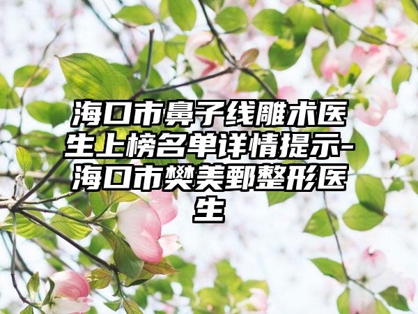 海口市鼻子线雕术医生上榜名单详情提示-海口市樊美鄄整形医生