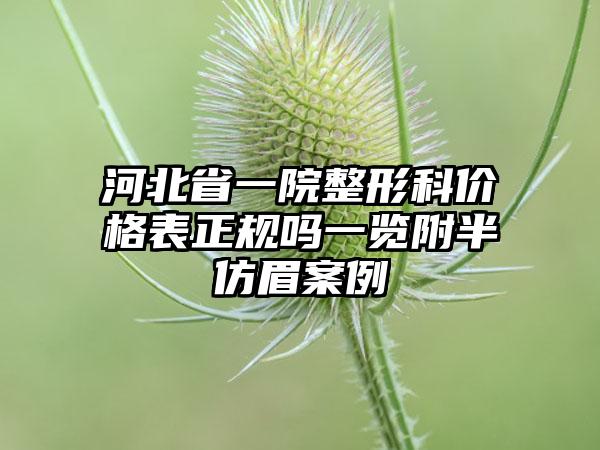 河北省一院整形科价格表正规吗一览附半仿眉案例