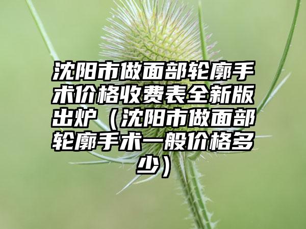 沈阳市做面部轮廓手术价格收费表全新版出炉（沈阳市做面部轮廓手术一般价格多少）