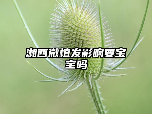 湘西微植发影响要宝宝吗