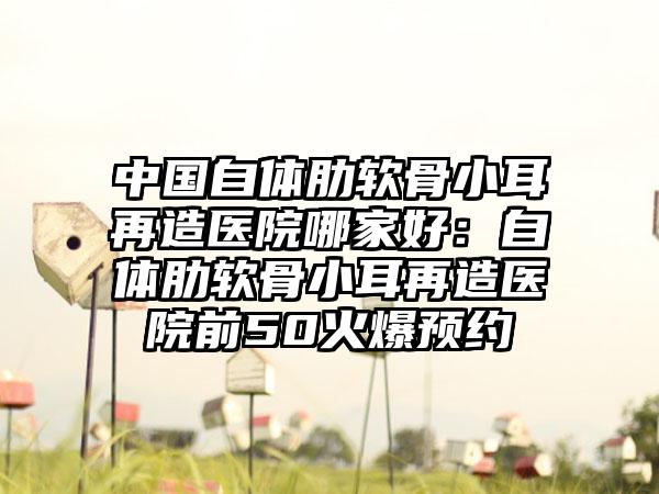 中国自体肋软骨小耳再造医院哪家好：自体肋软骨小耳再造医院前50火爆预约