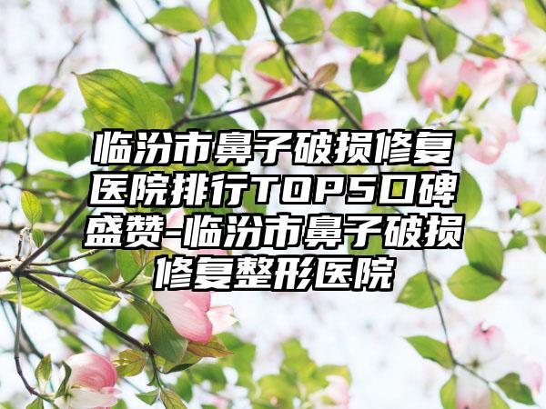 临汾市鼻子破损修复医院排行TOP5口碑盛赞-临汾市鼻子破损修复整形医院