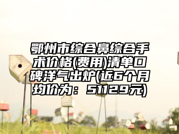 鄂州市综合鼻综合手术价格(费用)清单口碑洋气出炉(近6个月均价为：51129元)