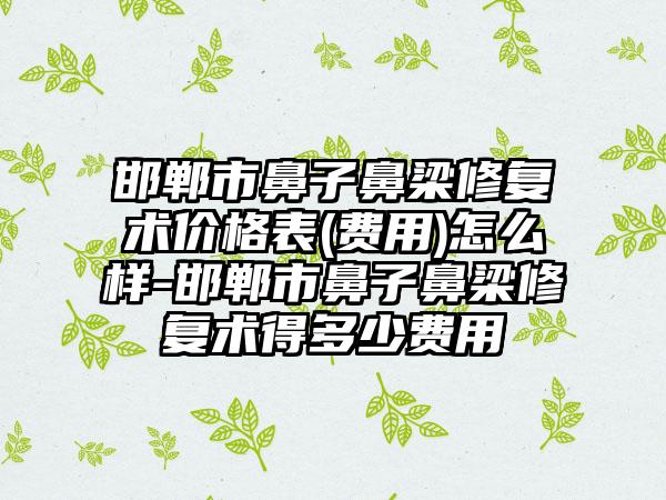 邯郸市鼻子鼻梁修复术价格表(费用)怎么样-邯郸市鼻子鼻梁修复术得多少费用