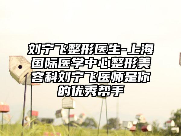 刘宁飞整形医生-上海国际医学中心整形美容科刘宁飞医师是你的优秀帮手