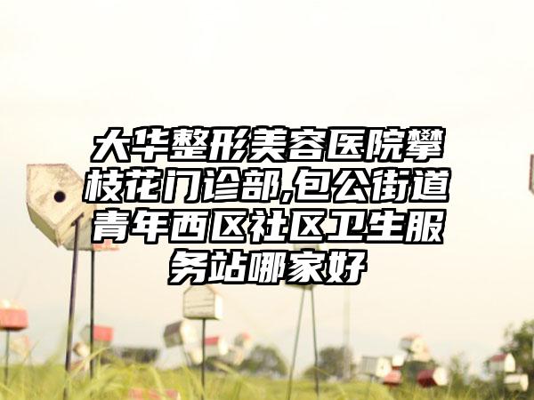 大华整形美容医院攀枝花门诊部,包公街道青年西区社区卫生服务站哪家好