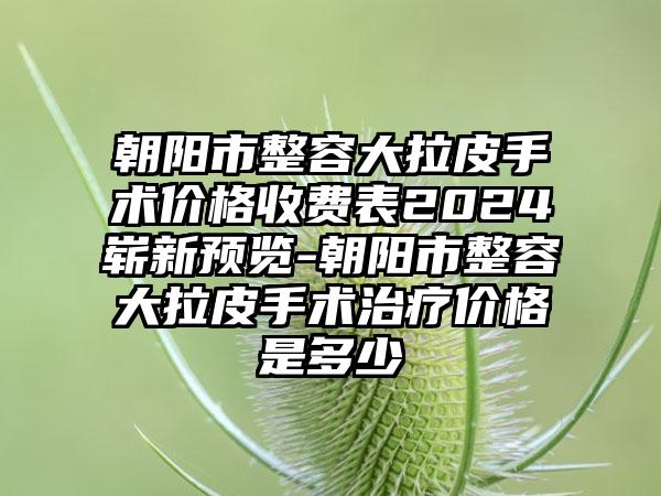 朝阳市整容大拉皮手术价格收费表2024崭新预览-朝阳市整容大拉皮手术治疗价格是多少