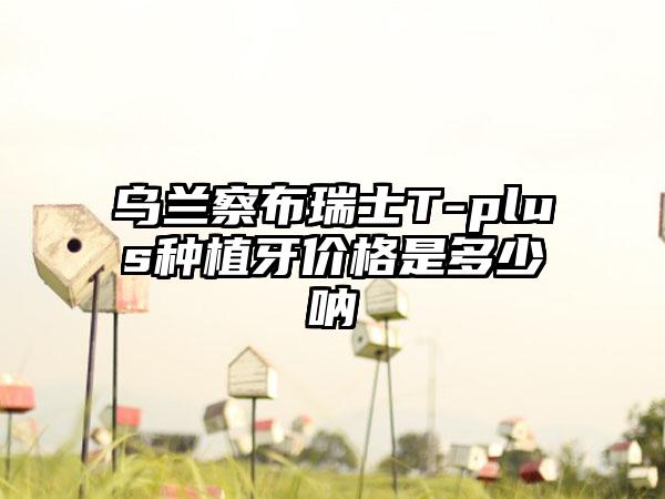 乌兰察布瑞士T-plus种植牙价格是多少呐