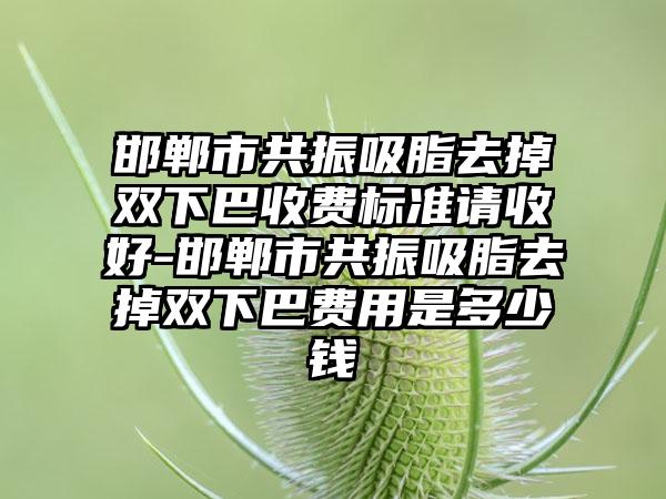 邯郸市共振吸脂去掉双下巴收费标准请收好-邯郸市共振吸脂去掉双下巴费用是多少钱