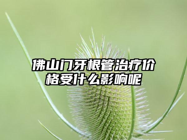 佛山门牙根管治疗价格受什么影响呢